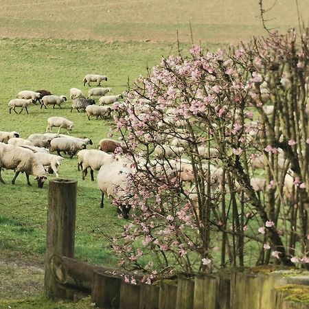 Ferienwohnung Auenland Braunfels Zewnętrze zdjęcie